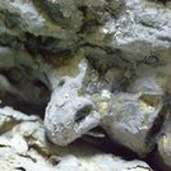 Atiporn Thongborisut