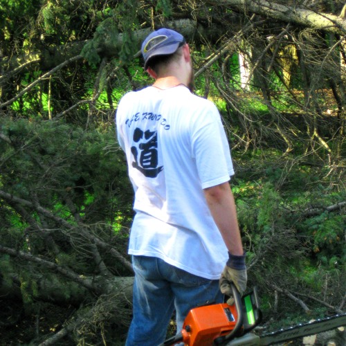 Stream What Does The Fox Say Marching Band by Gralbing Listen