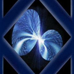 Einstein Rosenbridge