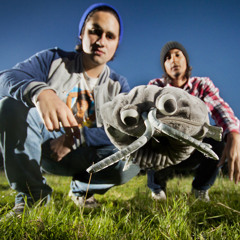 Steach & Dobleye