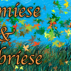 miese & briese