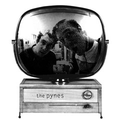 The Pynes