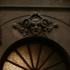 antitelo