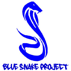 Blue Snake Project