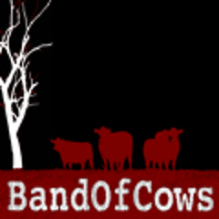 BandOfCows