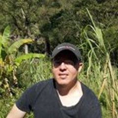 Leonel Pal