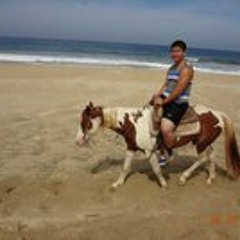 Tim Swag Tang