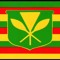 soljahscar808