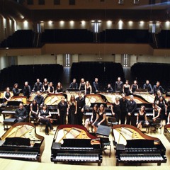 Musikeon 20 piano project