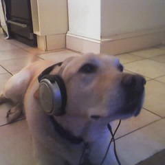 How Could I Know - DCMP