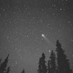 Chloé Isabeau Barenot