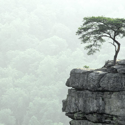 Adele - Rolling in the Deep (Chamillionaire - Hip Hop Police Remix)