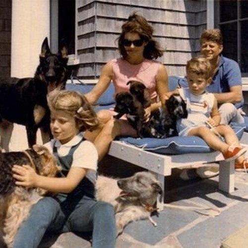 Drugs - Constantly Revolting