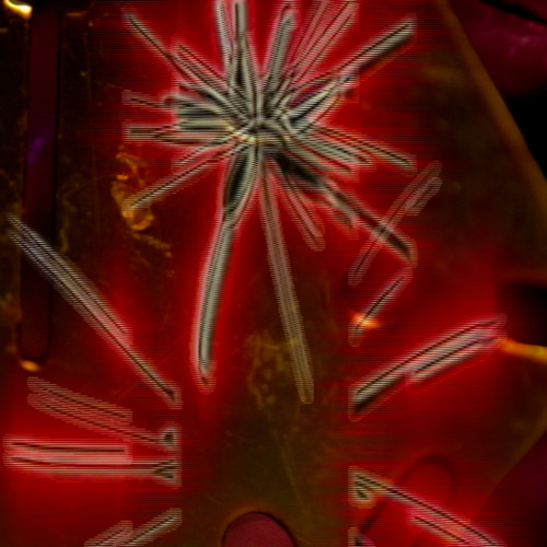 Ego Splitter