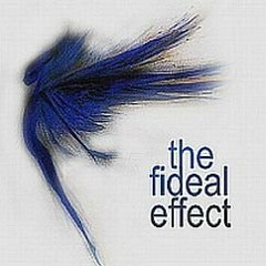 the fideal effect
