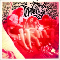 TheTerribleTones