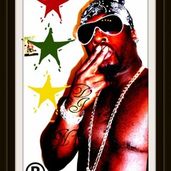 VINEGAR THE BITTER ONE