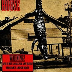 Alligator Funk House