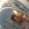 Lashay Myien Davis