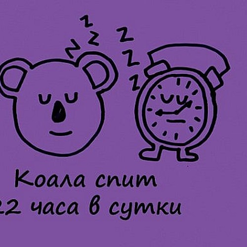 Проект знаете ли вы
