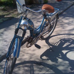 agneslovisateresianorberg