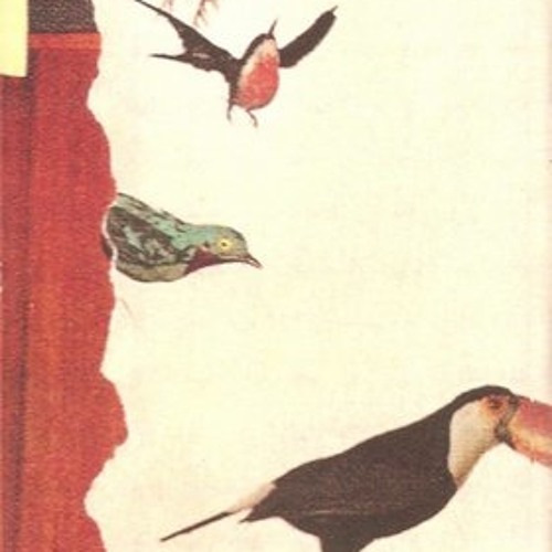 Stream calypso borealis music Listen to songs, albums, playlists for free on SoundCloud