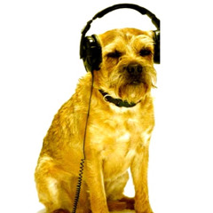 DJ Mutt