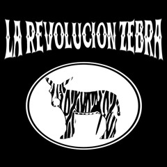 REVOLUCIONZEBRA