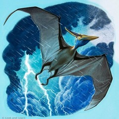 Pterodactyl Mobile - Apps on Google Play