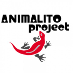 Animalito project