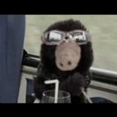 Minimal Nachtläufer