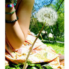 Butterfly Net