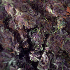 Ganja Beats