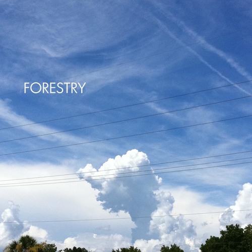 SoundCloud profile picture for @forestry