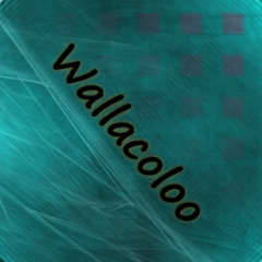 Wallacoloo