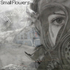 Small Flowers