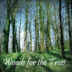 WoodsForTheTreesMusic