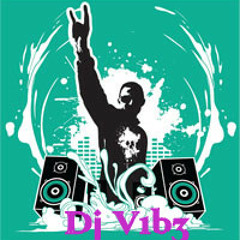 Dj V1b3
