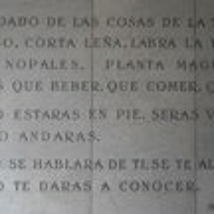 Vida Vazquez