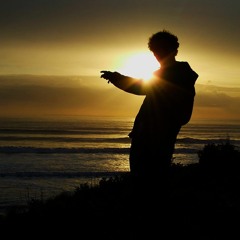 Sonic Rebels - RoscoTyler