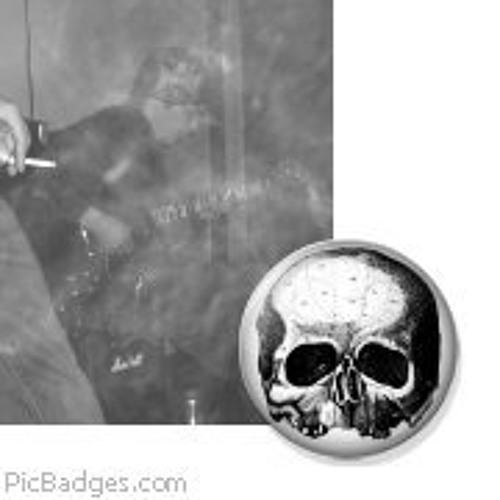 Sdmf meaning