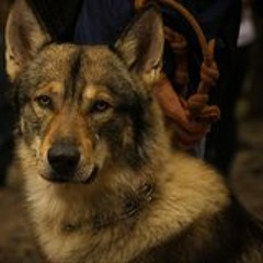 Ernesto Avalos Palacios