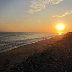 mackenzie_harrington