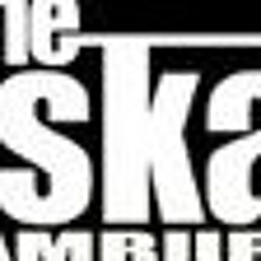 theskatoons