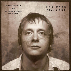 The Wave Pictures