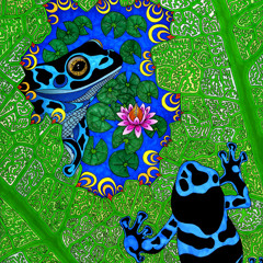 Licor-Acido - Chaim ( L&E Remix )