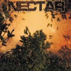 Nectar Vivo