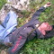 bollibuzz