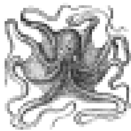 roboctopus’s avatar
