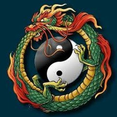 Adam - The Power of Bhangra